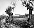 Picture Title - A walk in the Country