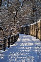 Picture Title - River side walk