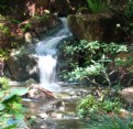 Picture Title - Japanese Garden Stream