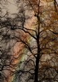 Picture Title - Autumn rainbow