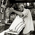 Picture Title - Barbieri in Sri Lanka