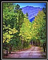 Picture Title - Autumn Roadway