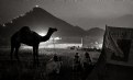 Picture Title - night at pushkar