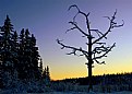 Picture Title - Over the Moose Swamp