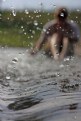 Picture Title - splash