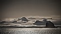 Picture Title - Antarctic