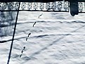 Picture Title - foot prints