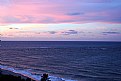 Picture Title - Tree, Beach & Color