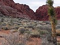 Picture Title - Red Rock