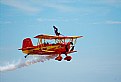 Picture Title - wing walker