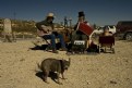 Picture Title - Terlingua Market Dogs