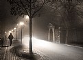 Picture Title - Walking in the fog