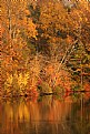 Picture Title - fall colors