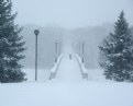 Picture Title - A Snowy Walk