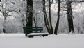 Picture Title - Frosty Bench