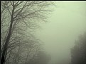 Picture Title - into the fog.2