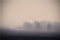 Picture Title - De la niebla