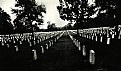 Picture Title - War cimitery