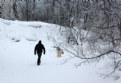 Picture Title - A Frosty Walk