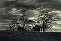 Picture Title - House on a Hill