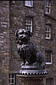 Picture Title - Greyfriars Bobby