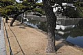 Picture Title - Moated Garden