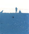 Picture Title - marine