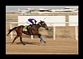 Picture Title - Horse racing