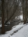 Picture Title - Stream in winter