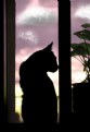 Picture Title - La gata en la ventana