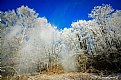 Picture Title - Winter in Upper Silesia