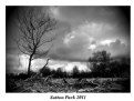 Picture Title - Sutton Park