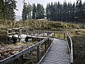 Picture Title - Toads Haven Pond