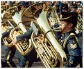 Picture Title - A MournfullTuba