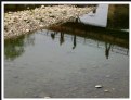 Picture Title - Bridge On The River Murti