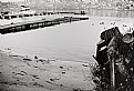 Picture Title - Danube harbour