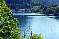 Picture Title - Lake & Trees