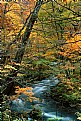 Picture Title - Autumn River