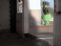 Picture Title - Merge #3