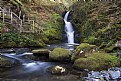 Picture Title - Dolgoch Falls 001