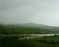 Picture Title - rain
