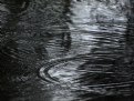 Picture Title - Ripples #2