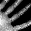 Picture Title - Fingers