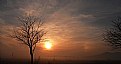 Picture Title - a tree and a sunset