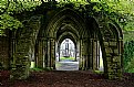 Picture Title - Margam