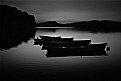 Picture Title - On the Lake