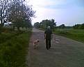 Picture Title - my father and the dog