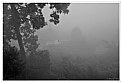 Picture Title - morning............ mist at kalimpong..........