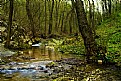 Picture Title - Landscape clear creek