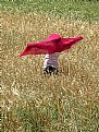 Picture Title - red scarf !